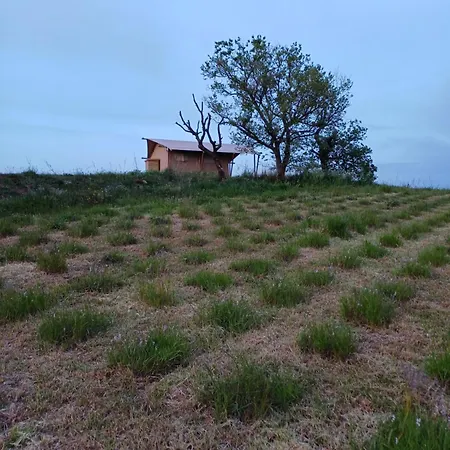 Роскошный шатер Glamping Podere Angiotto Lavanda